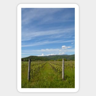 Spring Landscape Near Cividale del Friuli Sticker